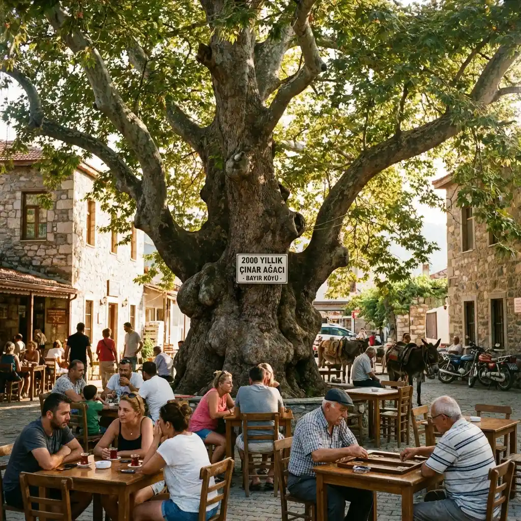 Yücel Körfez Evleri yakınında gezilecek yerler - Bayır Köyü